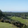 Bandon Trails #14, Par 4, 306 yards: No matter what you hit, you will end up with a wedge going WAY up a hill to a green you probably can't hold no matter what