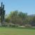 Day 2: Brian wisely takes a putter from just off of Grayhawk's brutal greens.